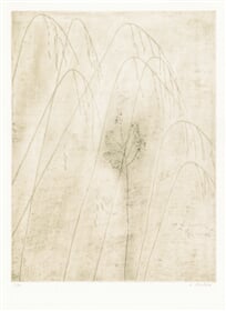 Les Herbes