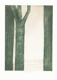 Daleko