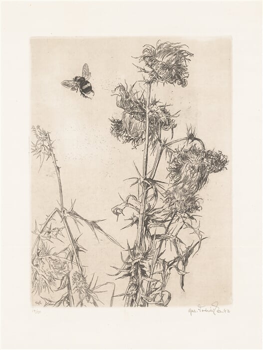 G 1204