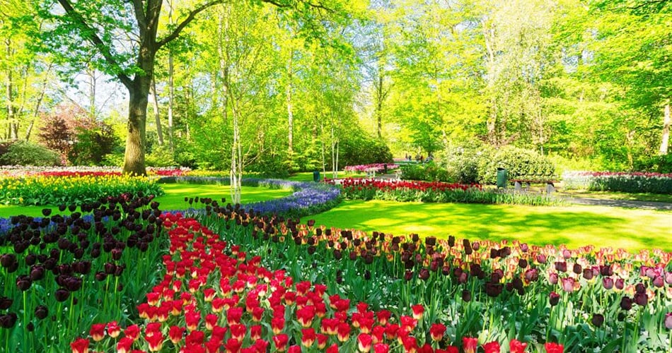 Foto - Velikonoční Amsterdam + KVĚTINOVÁ ZAHRADA KEUKENHOF + SLAVNÁ MUZEA (letecky z Os