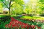 Foto - Velikonoční Amsterdam + KVĚTINOVÁ ZAHRADA KEUKENHOF + SLAVNÁ MUZEA (letecky z Os