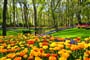 Foto - Velikonoční Amsterdam + KVĚTINOVÁ ZAHRADA KEUKENHOF + SLAVNÁ MUZEA (letecky z Os