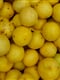 photo bangalore ZN nrCASuGs unsplash