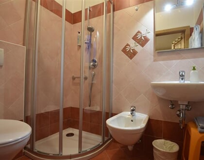 BB Cesa Rotic   Alba di Canazei (7)