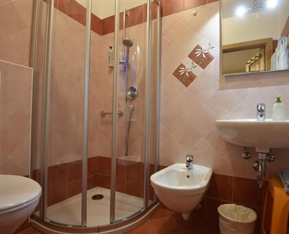 BB Cesa Rotic   Alba di Canazei (7)