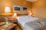 Hotel Breza