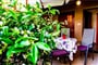 img-0018-20_1140_511
