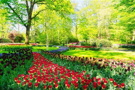 Velikonoční Amsterdam + KVĚTINOVÁ ZAHRADA KEUKENHOF + SLAVNÁ MUZEA (letecky z Os