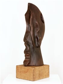 Hermafrodit
