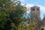 Torcello 