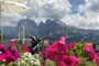 Val Gardena - Sasso Lungo 