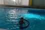 Bazén u hotelu 