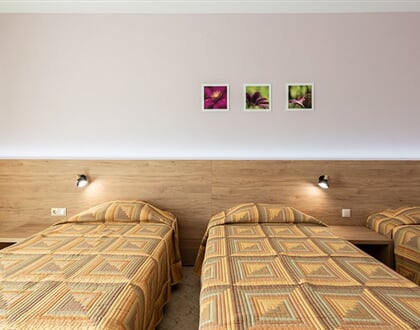Ivana-Palace-Hotel-22
