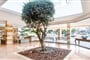 Hotel-Globales-Samoa-28