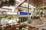 Hotel-Globales-Mimosa-26