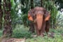 Foto - To nejlepší z Thajska + NÁRODNÍ PARK KHAO SOK + NEJKRÁSNĚJŠÍ PLÁŽE KRABI (leteck