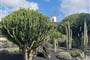 Lanzarote, Kanárské ostrovy