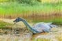 Foto - To nejlepší z Edinburghu + JEZERO LOCH NESS (letecky z Ostravy – Krakova)