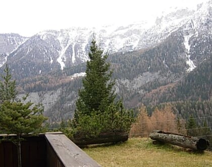 I Larici BILO (7)