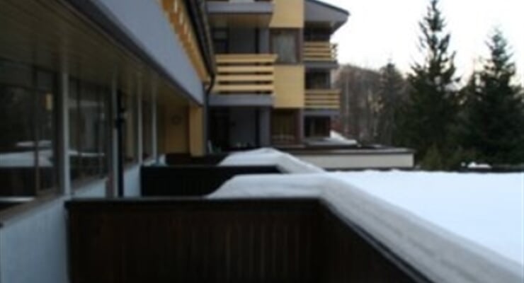 I Larici MONO (4)