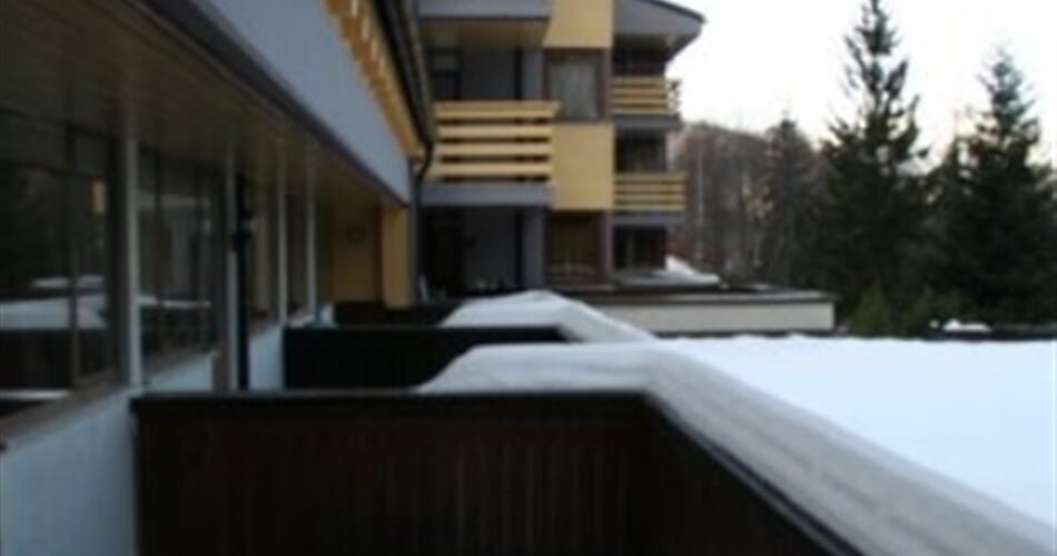 I Larici MONO (4)