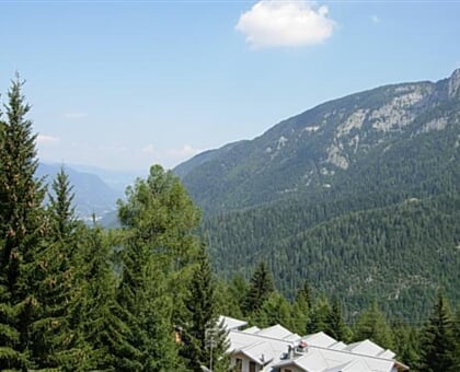 Splendor TRILO 6 (7)