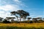 Foto - To nejlepší z Ugandy + HORSKÉ GORILY A ŠIMPANZI + SAFARI V NÁRODNÍCH PARCÍCH (le