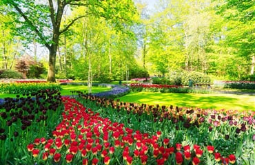 Velikonoční Amsterdam + KVĚTINOVÁ ZAHRADA KEUKENHOF + SLAVNÁ MUZEA (letecky z Os