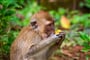 Foto - To nejlepší z Thajska + NÁRODNÍ PARK KHAO SOK + NEJKRÁSNĚJŠÍ PLÁŽE KRABI