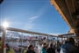 Alpino Lodge, Trepalle (11)