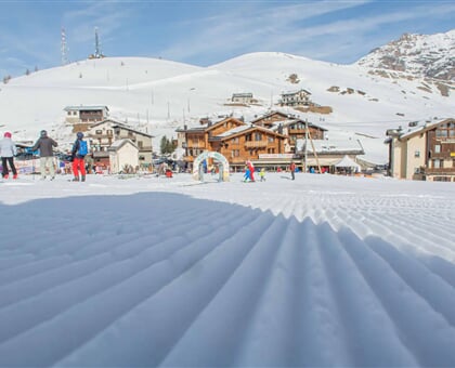 Alpino Lodge, Trepalle (6)