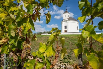 To nejlepší z Tokaje + VINOBRANÍ + LÁZNĚ V EGERU