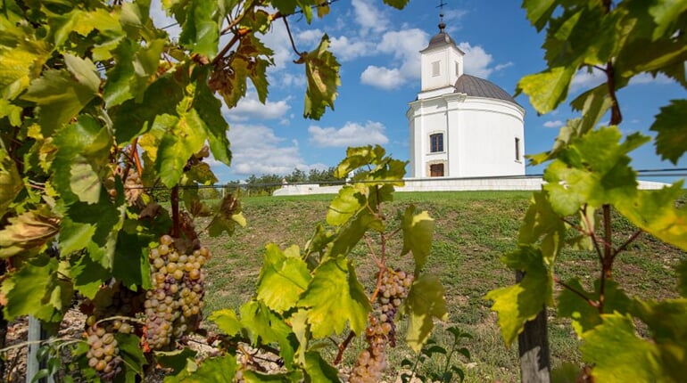 Foto - To nejlepší z Tokaje + VINOBRANÍ + LÁZNĚ V EGERU