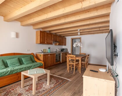 Casa Piccolin Sot Ciasa (3)
