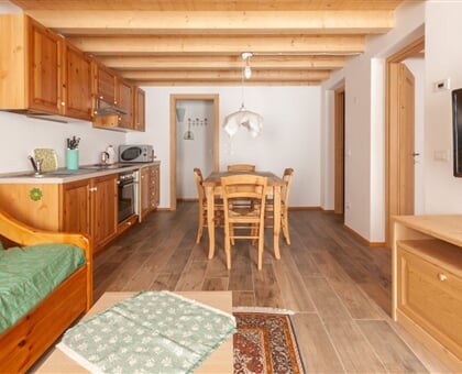 Casa Piccolin Sot Ciasa (8)