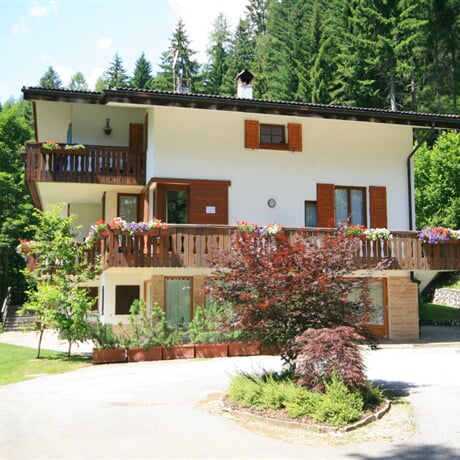 Villa Licia - Falcade
