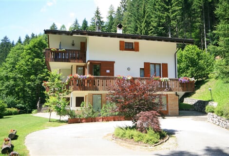 Villa Licia - Falcade
