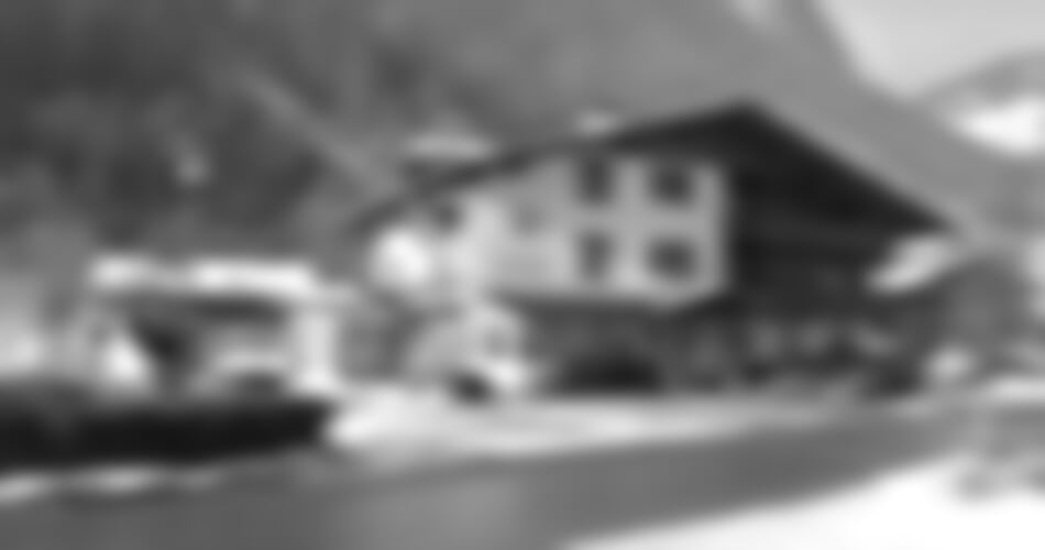 Zillertal - Apartmány Gästehaus Schneeberger ***