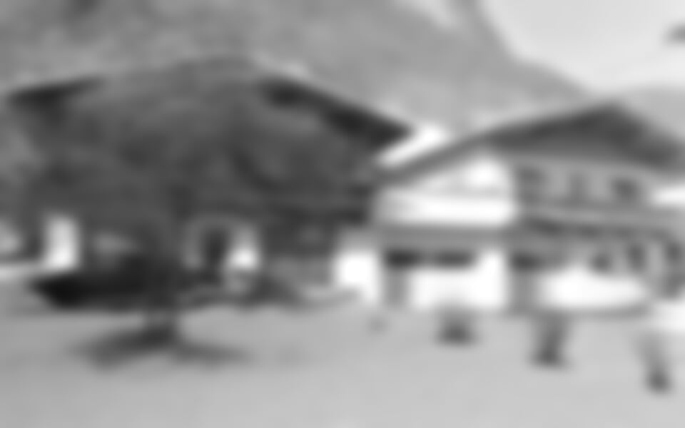 Zillertal - Chalety Schneeberger ***