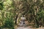 Arba resort - Suha Punta (ostrov Rab) - 101 CK Zemek - Chorvatsko