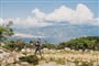 Arba resort - Suha Punta (ostrov Rab) - 101 CK Zemek - Chorvatsko
