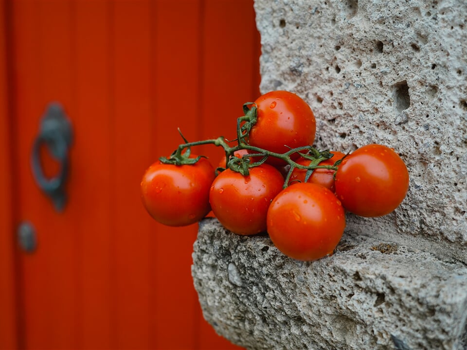 hello aesthe unuglMz7xW8 unsplash