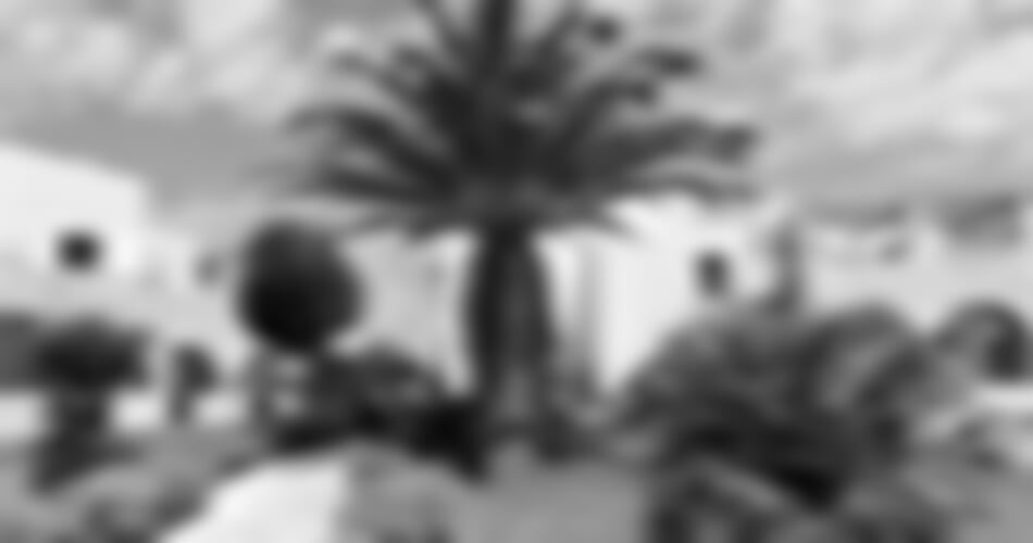 Afiartis - Hotel Irini Beach