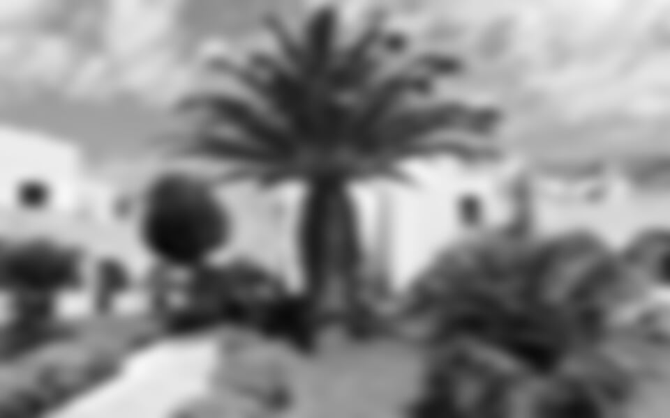 Afiartis - Hotel Irini Beach