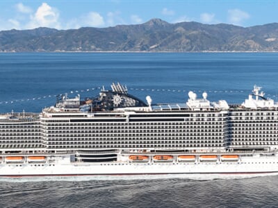 MSC17013353