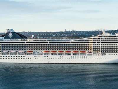 MSC19019148