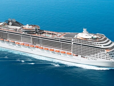 MSC13012462