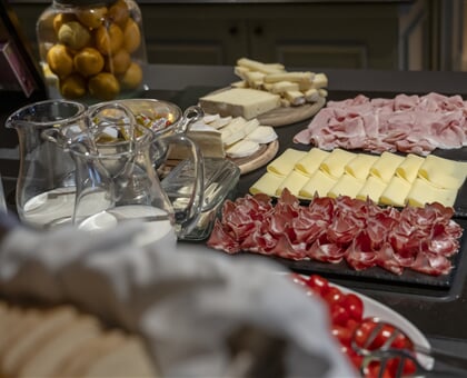 Alu hotel, Bormio 25 (9)
