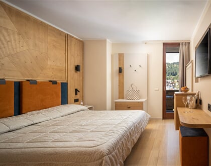 Splendid Hotel madonna di campiglio (15)
