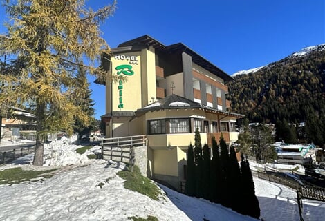 Hotel Betulla *** - Madonna di Campiglio